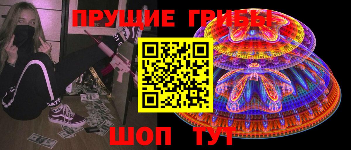 Новозыбков  Галлюциногенные грибы мицелий  Вход с VPN 