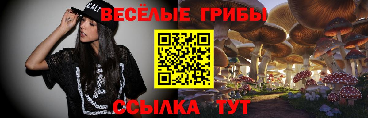 Галлюциногенные грибы прущие грибы Новозыбков